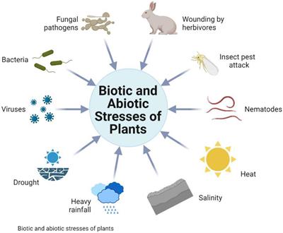 Smart breeding approaches in post-genomics era for developing climate-resilient food crops